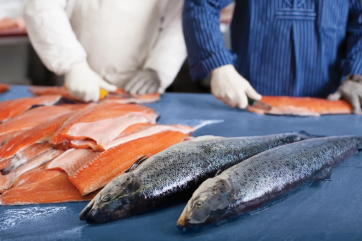 В мае резко сократился импорт красной рыбы в Россию